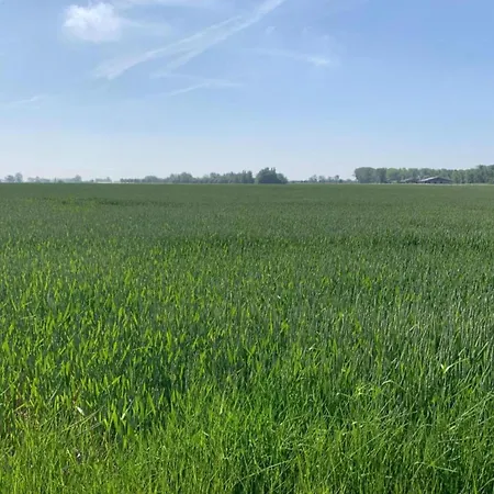 Beachfront Comfort *